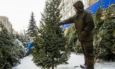 В Орле будут работать 12 ёлочных базаров