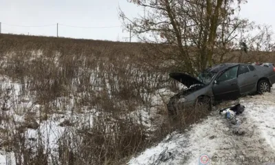 В Урицком районе Toyota вылетела в кювет и врезалась в дерево