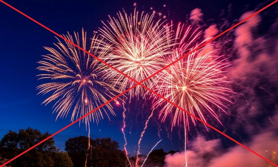 Андрей Клычков сообщил об отмене новогоднего салюта на Орловщине