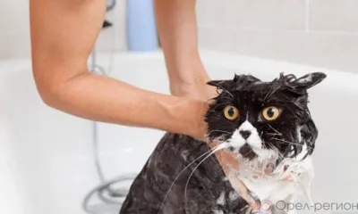 В Орле на 10 дней отключили горячую воду