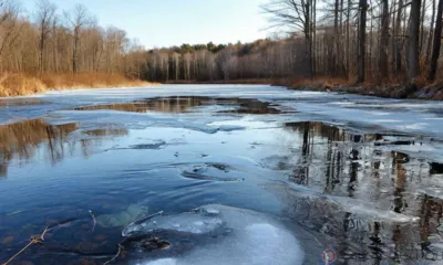 На Орловщину вновь вернутся небольшие морозы