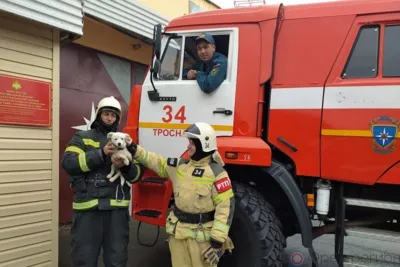 Пожарные в Тросне взяли в помощники щенка Умку