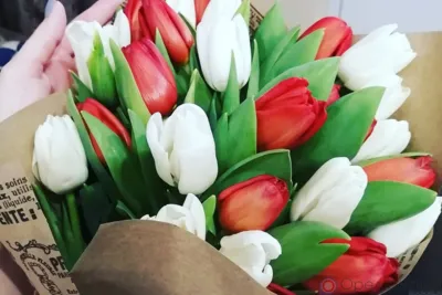 В пяти районах Орловской области выявлено 13 нарушений при реализации цветов