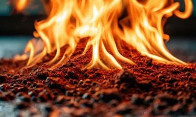 Орловчанку и адвоката будут судить за попытку сжечь доказательства по делу