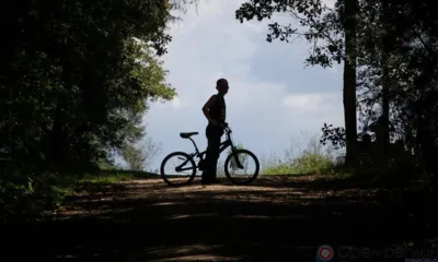 В Мценском районе лесник нашёл заблудившегося подростка и вернул его домой