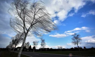 Орловцев предупреждают о порывах ветра до 18 м/с