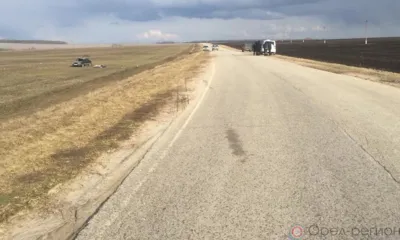 В Орловской области ВАЗ-21144 улетел в кювет и перевернулся