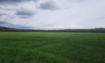 В День Победы на Орловщине ожидаются грозы и град