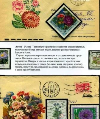 На главпочтамте в Орле открылась филателистическая выставка, посвящённая лекарственным растениям