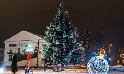 Новогодняя ель из Кром вышла в финал всероссийского конкурса