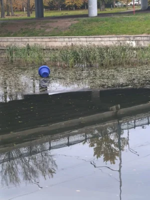 Фото 2. В Орле вандалы сбросили с Александровского моста вазоны с цветами