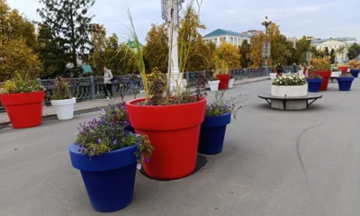 В Орле вандалы сбросили с Александровского моста вазоны с цветами