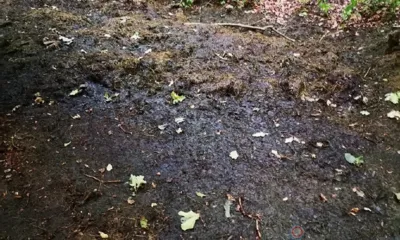 Прокуратура проверит орловскую «Мечту»