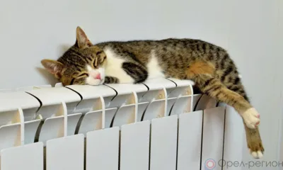 Орловцы стали меньше жаловаться на отопление в домах