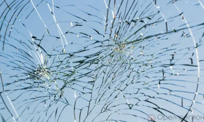 Новости Росгвардии: Орловец устроил погром в аптеке, цветочном магазине и скорой