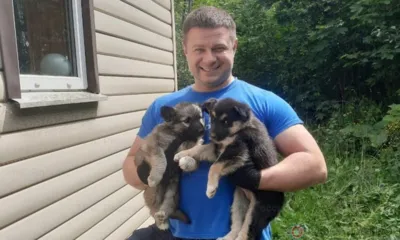 Орловские спасатели помогли напуганным щенкам