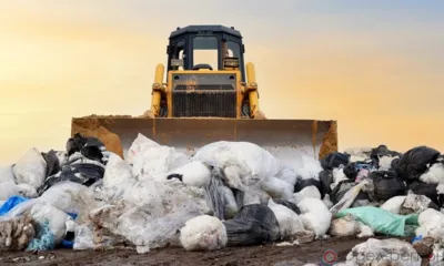 12 свалок ликвидировано в Орловской области по требованию Россельхознадзора