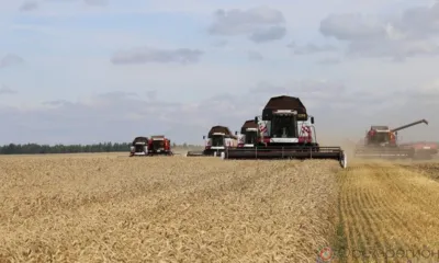 На Орловщине активно развивается семеноводство