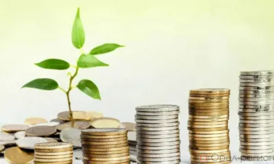 Компас в мире вопросов