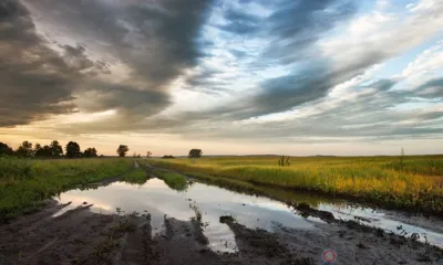 «Чрезвычайные» миллионы для орловских аграриев