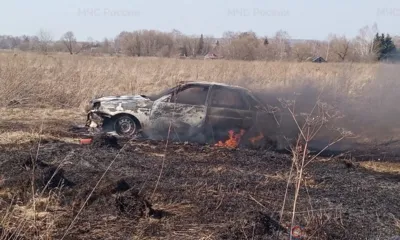 Под Орлом огонь с автомобиля перекинулся на траву