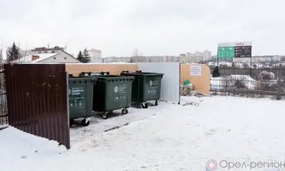 Орловцам напомнили правила вывоза крупногабаритных отходов и новогодних ёлок