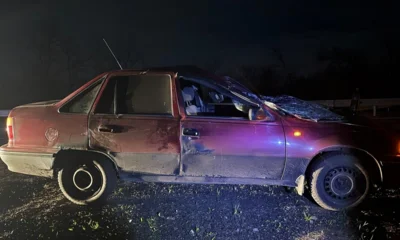 Лось спровоцировал на орловской дороге ДТП с пострадавшими