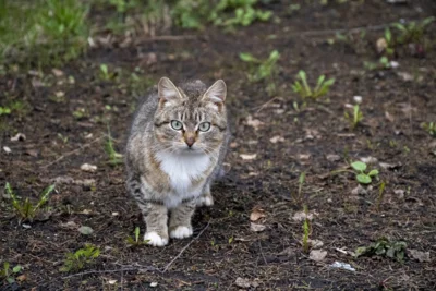 Фото 14. Андрей Клычков совершил рабочую поездку в Залегощенский район