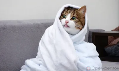 Сегодня в Орле под временное отключение горячей воды и отопления попали несколько домов, школа и два детсада