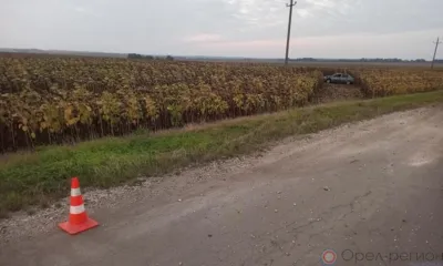 В Верховском районе Renault вылетело в кювет и перевернулось