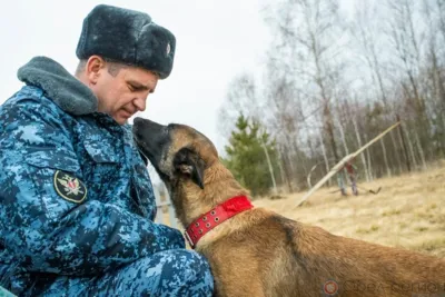 Лучший кинолог и лучшая служебная собака ФСИН живут в Орле