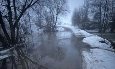 Под Орлом затопило мост через реку Цон