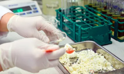 В бюджетных учреждениях Орловщины нашли некачественные творог и сливочное масло