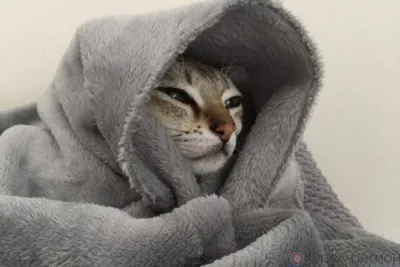 Сегодня в Орле некоторые дома останутся без света, отопления и горячей воды