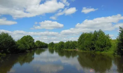 Новости районов Орловщины