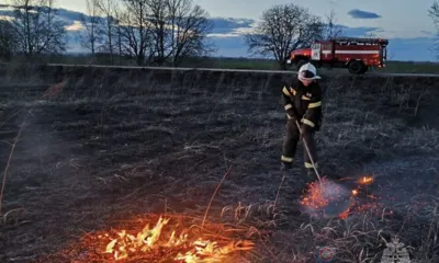 С начала года орловские пожарные более 500 раз выезжали на тушение сухой травы
