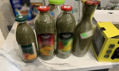 В квартире орловца нашли около 6 кг марихуаны