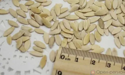 В Орловской области снято с реализации почти пять тысяч пакетов семян