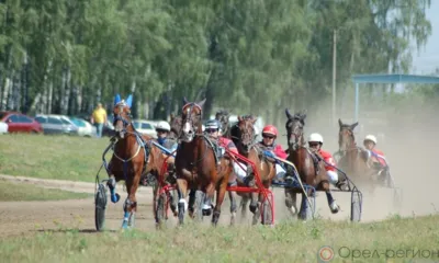 Орловский ипподром приглашает орловцев на конные бега