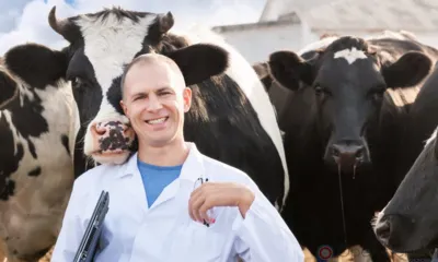 Молодые ветеринары Орловщины могут получить региональные выплаты