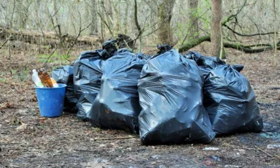 Вместе против мусора: Орловцев приглашают на «Чистые игры»