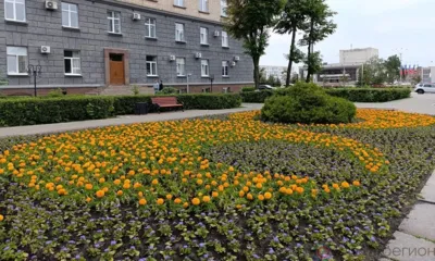 На клумбах в Орле меняют цветы