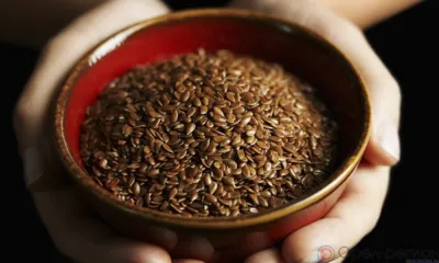 Из Орловской области в Бельгию отправлено 506 тонн семян льна