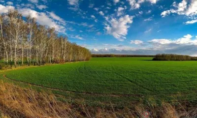 Орловские аграрии вышли на поля