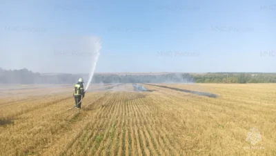 С начала года на Орловщине зафиксировано более тысячи возгораний сухой травы