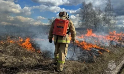 В Орловской области продолжает гореть сухая трава