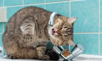 Орловцам продолжают отключать воду