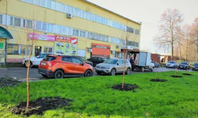 В Орле в этом году высадят порядка 1500 деревьев
