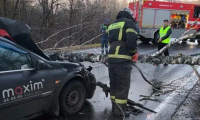 Орловские спасатели устраняют последствия непогоды