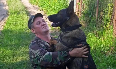 21 июня орловские кинологи отмечают свой праздник